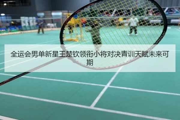 全运会男单新星王楚钦领衔小将对决青训天赋未来可期