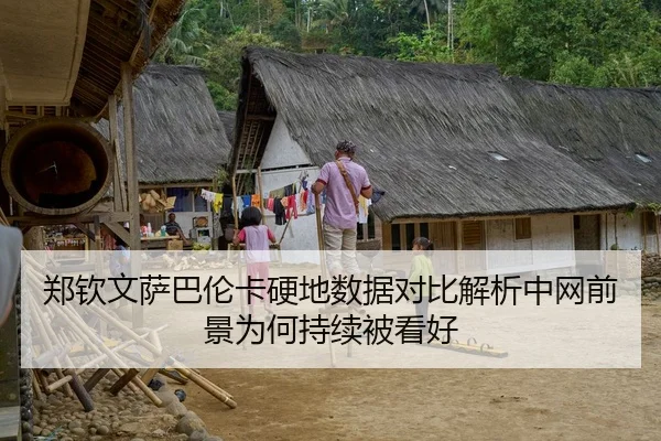 郑钦文萨巴伦卡硬地数据对比解析中网前景为何持续被看好